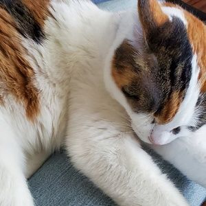 Meet your Posher, Louisa